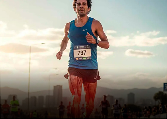 ¿Correr largas distancias podría afectar los músculos? Esto responde la ciencia