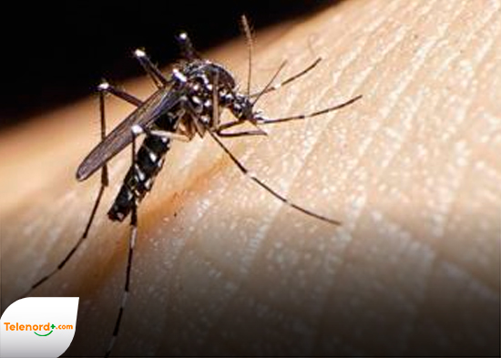 CHICUNGUNYA DE NUEVO