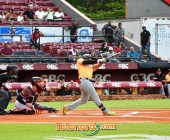 telenord00 telenord00