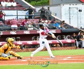 telenord00 telenord00