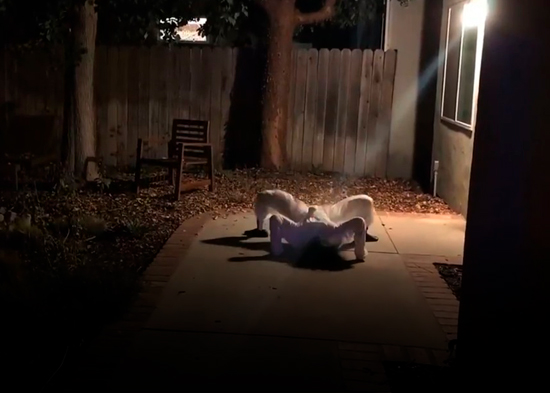 VIDEO: Una inusual modificación convirtió a este robot en una espeluznante pesadilla de Halloween