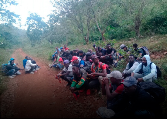 Ejército detiene a 19,839 haitianos en enero y somete a 77 por tráfico indocumentados y mercancías