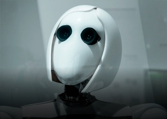 La IA es cada vez más inteligente, pero hay algo con lo que nunca va a poder: la estupidez humana