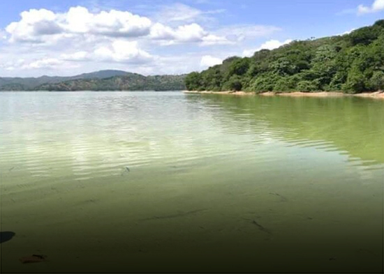 Pesca en ruinas y turismo en caída por la contaminación del agua en la presa de Hatillo