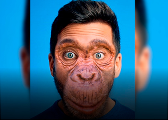 Editorial de NTN: “Sin ofender a los animales”