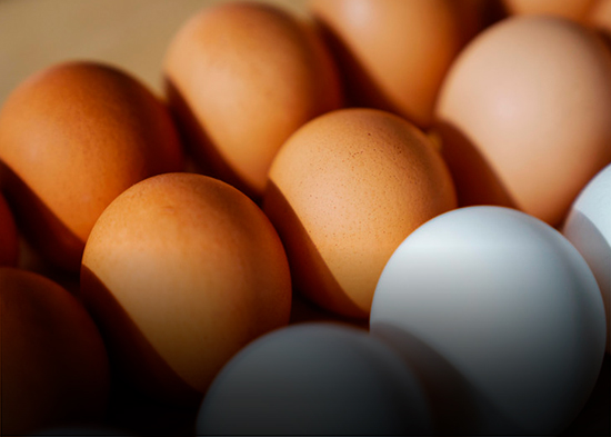 Los usos del huevo más allá de la alimentación