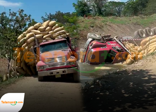 Camión cargado de arroz se precipita a canal en La Vega; no se reportan víctimas