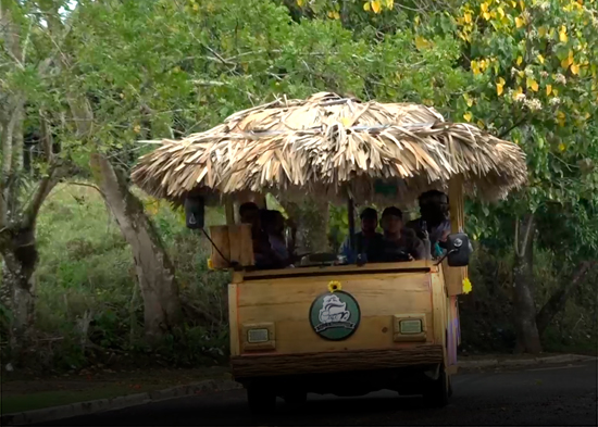 Jarabacoa; un paraíso primaveral con gran variedad de atractivos