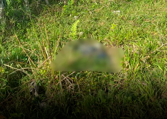 Encuentran sin vida a hombre que había sido reportado como desaparecido en Sabana Grande de Boyá
