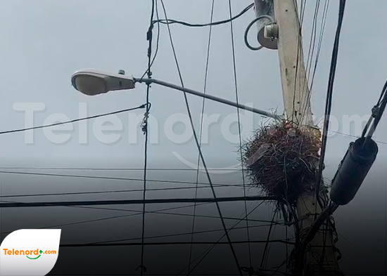 Exigen a EDENORTE instalar lámparas por falta de iluminación en sector El Madrigal SFM