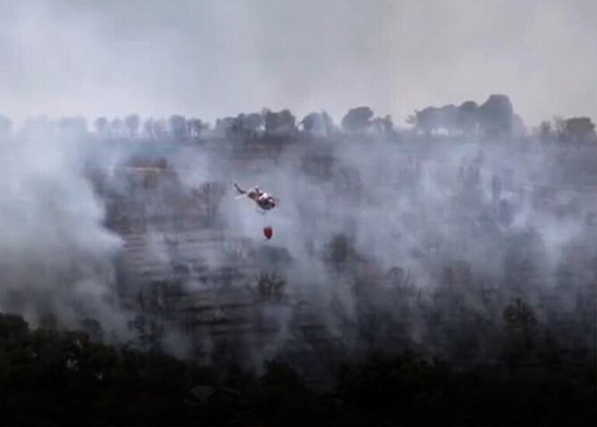 Incendio arrasa más de 1,300 hectáreas del emblemático bosque de Fontainebleau, cerca de París