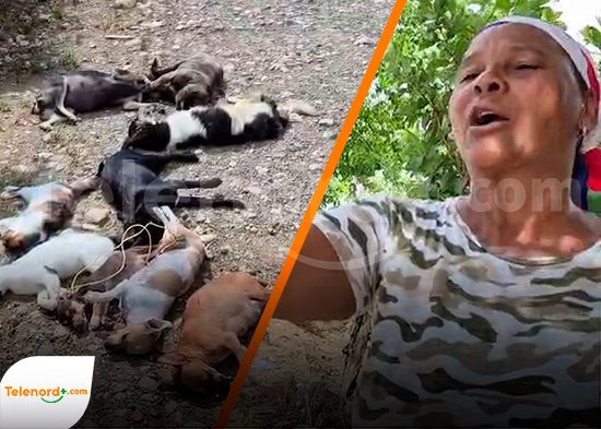 Indignación en Las Guazumas por presunto envenenamiento masivo de perros y gatos