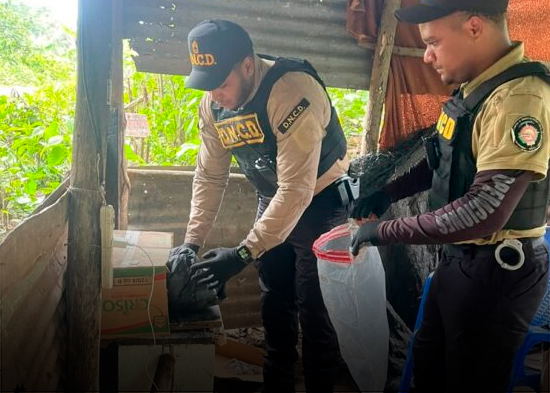 DNCD ocupa más de 8,000 gramos de drogas y arresta a 15 personas en operativos contra el microtráfico en La Vega