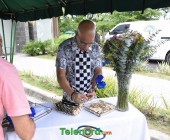 telenord088 telenord088