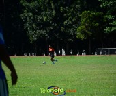 DSC 4101 DSC 4101