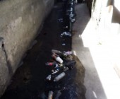 WhatsApp Image 2020 06 07 at 10.20.24 PM  1 