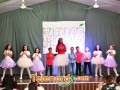 imagen00037
