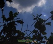 telenord00003 telenord00003